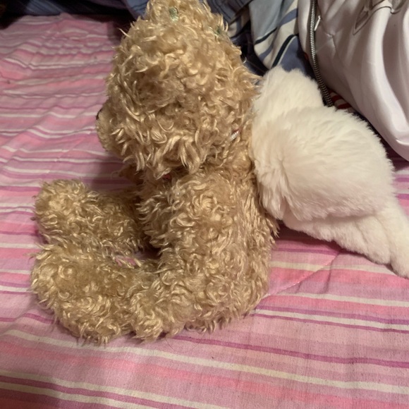 Angel bear - Picture 3 of 3